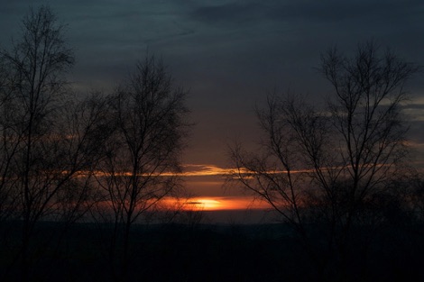 Winter trees with sunset